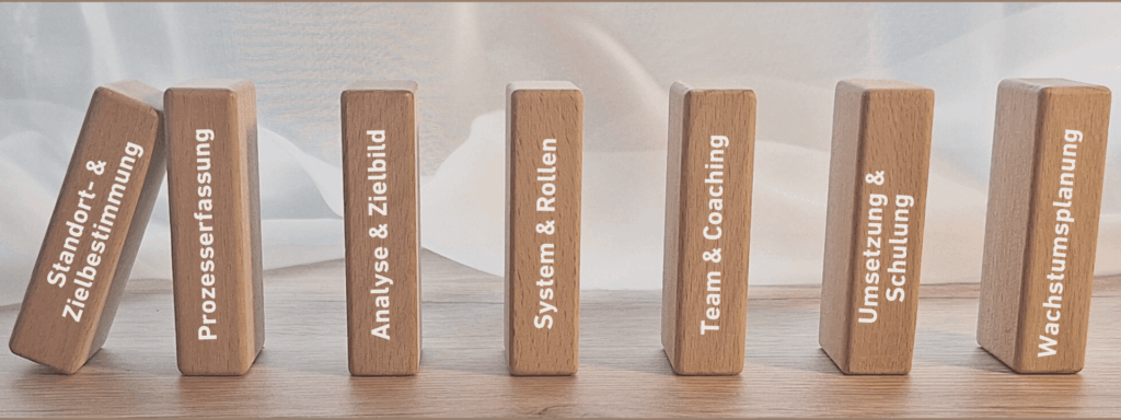 Dominoeffekt-System Dominoeffekt-System